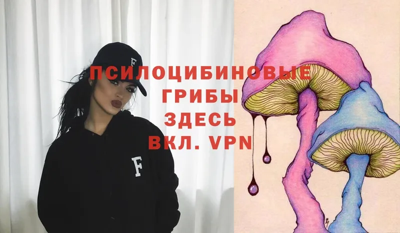 Галлюциногенные грибы Psilocybe  наркота  Узловая 